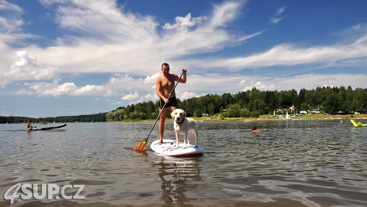 Vezměte svého pejska na paddleboard