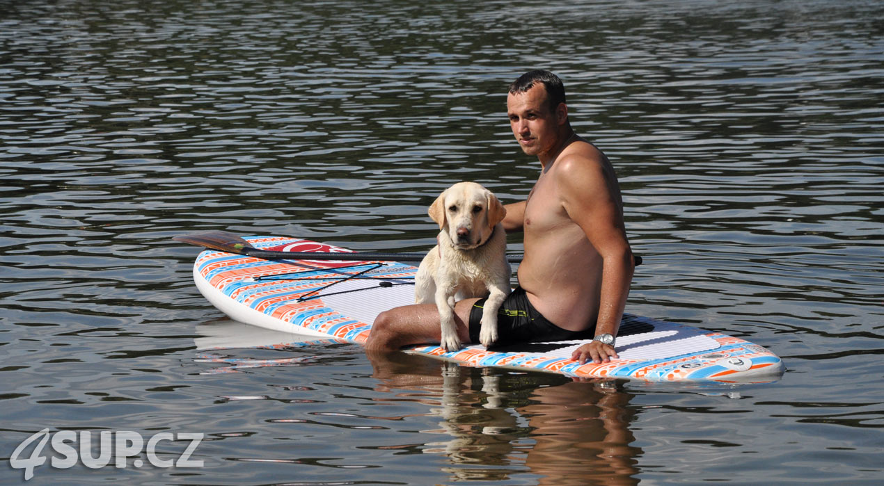 Retriever na paddleboardu. Paddleboard a pes, vemte svého pejska na projížďku na paddleboradu