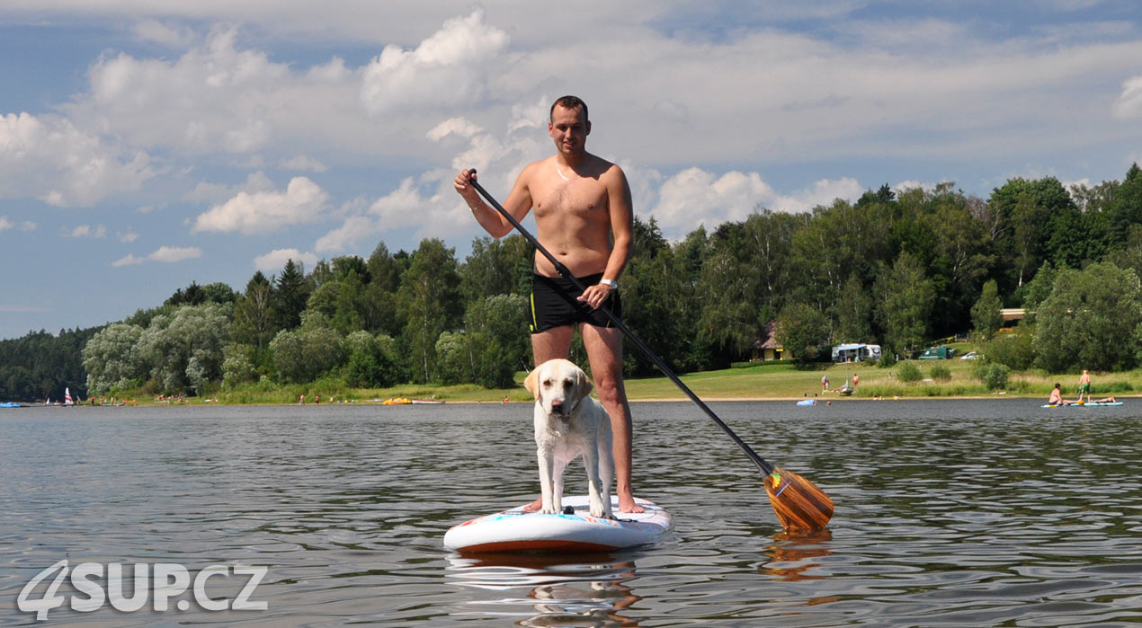 Retriever na paddleboardu. Paddleboard a pes, vemte svého pejska na projížďku na paddleboradu