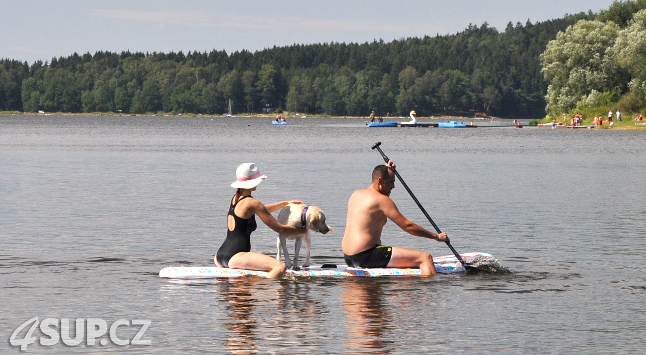 Retriever na paddleboardu. Paddleboard a pes, vemte svého pejska na projížďku na paddleboradu