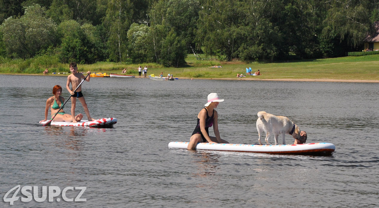 Retriever na paddleboardu. Paddleboard a pes, vemte svého pejska na projížďku na paddleboradu