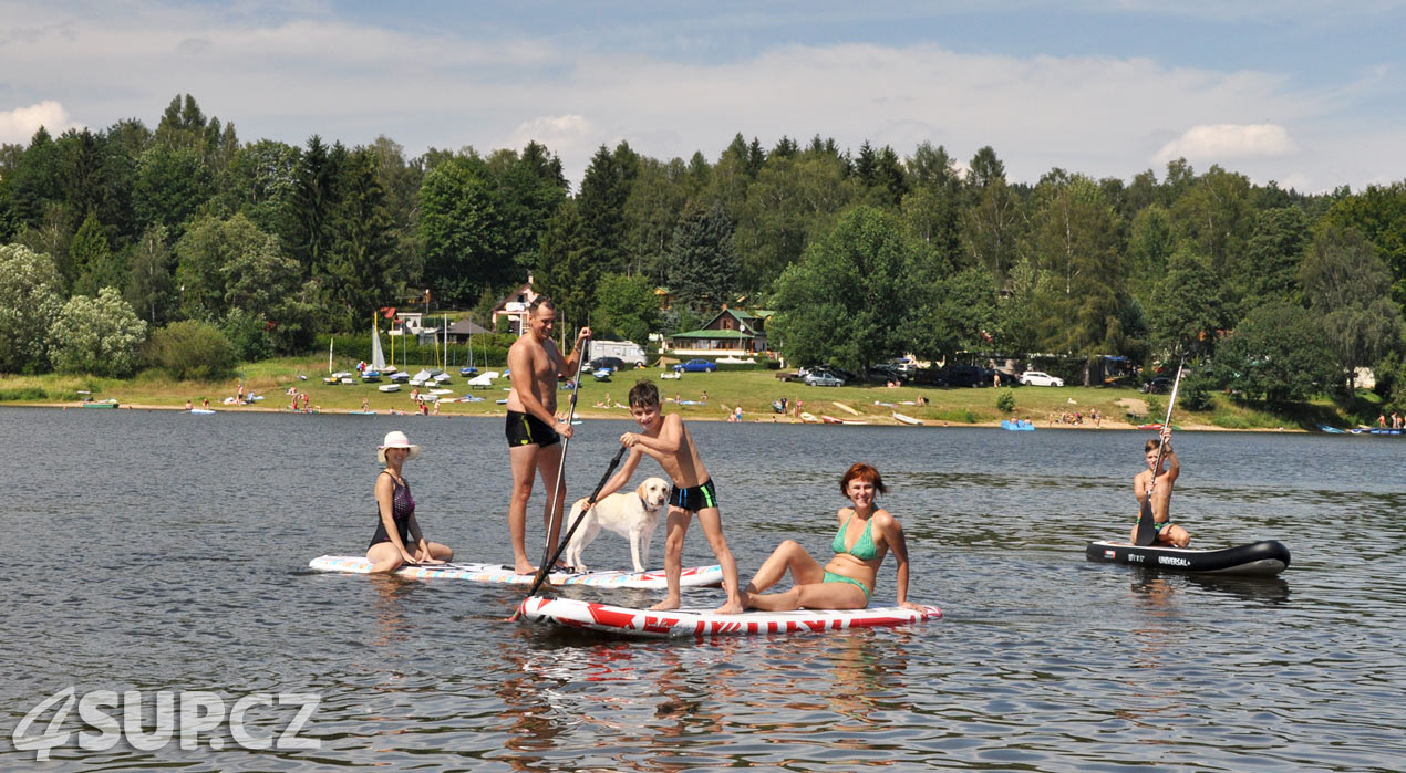 Retriever na paddleboardu. Paddleboard a pes, vemte svého pejska na projížďku na paddleboradu