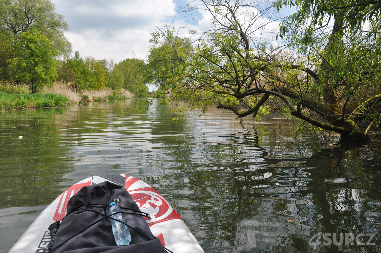 Paddleboard Pardubice výlet Labe - Loučná - Počáply směr Sezemice